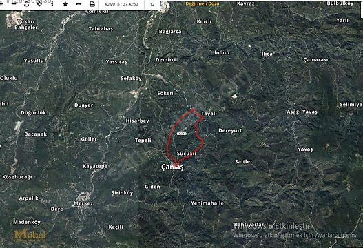 MABEL GAYRİMENKUL-ÇAMAŞ-ÇAVUŞBAŞI MAH.-SATILIK FINDIK BAHÇESİ